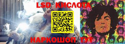 гидропоника Камышлов