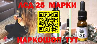 гидропоника Камышлов