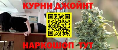 гидропоника Камышлов