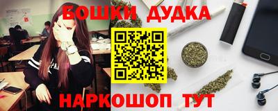 гидропоника Камышлов