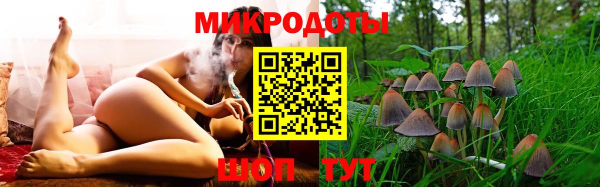 Галлюциногенные грибы Psilocybine cubensis Родники